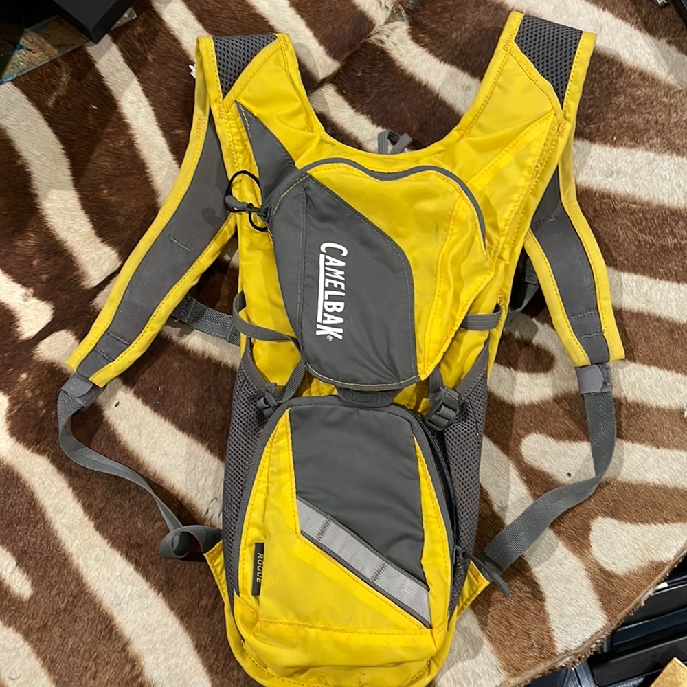 Camelbak Rogue